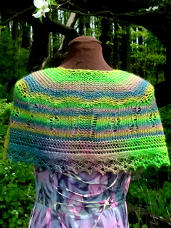 Pf-backview_small2