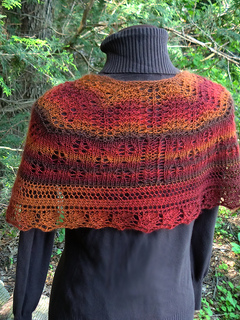 Pf5-back-angled_small2