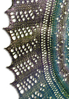 Lace_small2