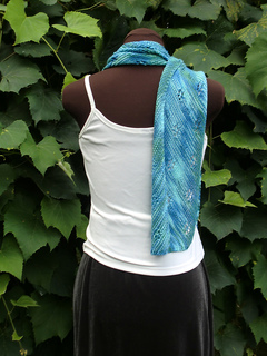 Pf5-backview-w-curl_small2