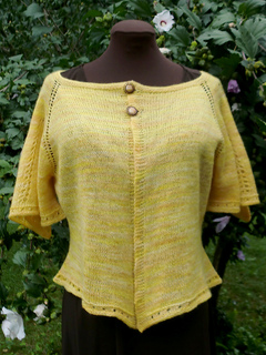 Pf1-front_small2