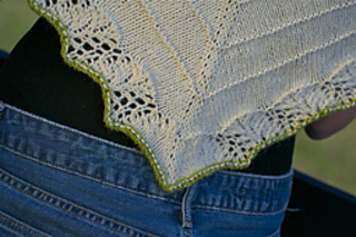Amari_back_point_small2