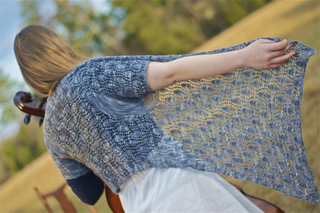 Stippled_ink_sleeves_back_small2