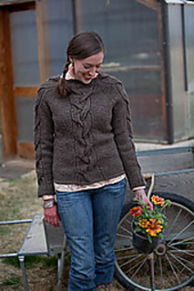 Hahn-233_small2