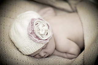 Img_3411s_small2