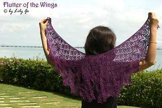 Dsc03687_flutter_of_the_wings_small2