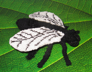 Not_so_common_house_fly_by_madmonkeyknits5_small2