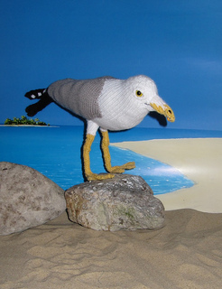 My_pet_seagull4_small2