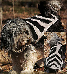Zebra-dog_small