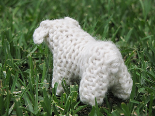 Nativity_lamb__sheep_1_small2