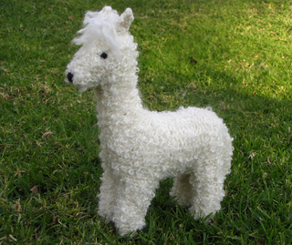 Alpaca_small2
