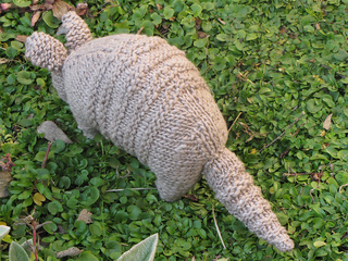 Armadillo2_small2