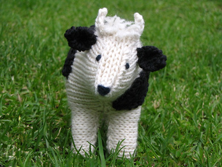 Cow1_small2