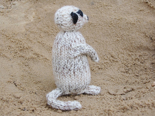 Meerkat1_small2