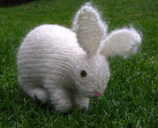Rabbit1_small2