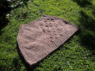 Poncho6_small2