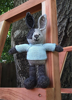 Boybunny1