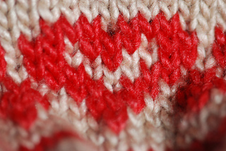 Closeup_small2