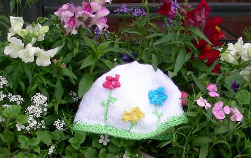Daisyhead_medium