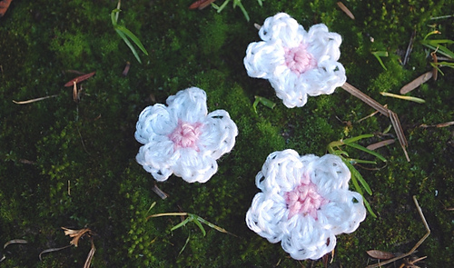 Sakura2_medium
