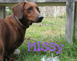 Missy_taba2_small2