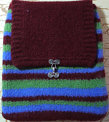 Striped_case_small