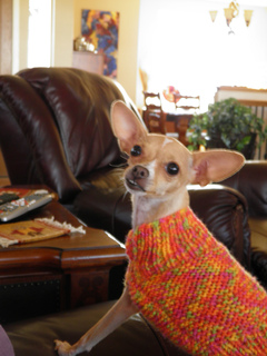 P8280041_small2