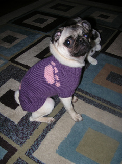 Izzy_s_sweater_small2