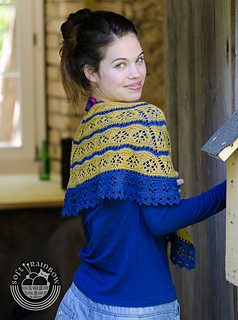 Dailyshawlette-0705_small2
