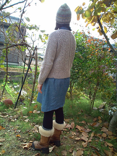 20101121132655_small2