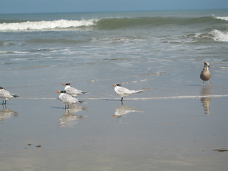 Photo-3_small2