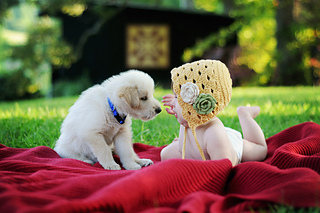 Dsc_6884_small2