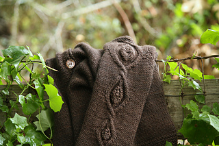 Sleeves_of_leaves_on_fence_small2