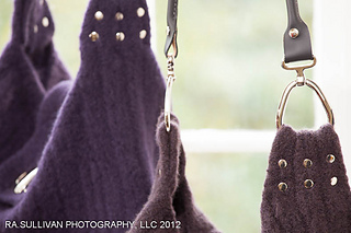 Rasp2012--0702_small2