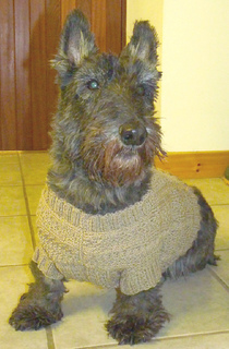 Sea_dog_gansey07_small2