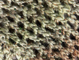 Ponderosa3_1_small2