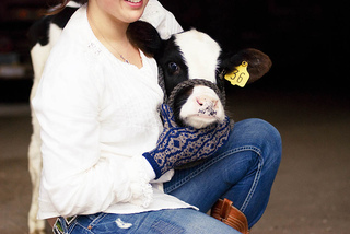 Komeeta_mittens_8_small2