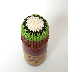 Kiwi_close_up_small