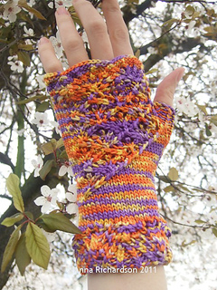 Hester_in_orange-purple_variegated_small2