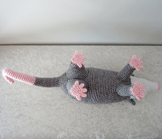 Opossum2_small2