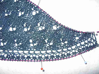 Eupheniad_klein___6__small2