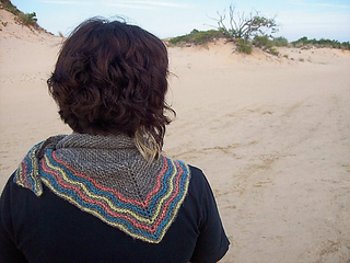 Currituckwornbacklg_small2