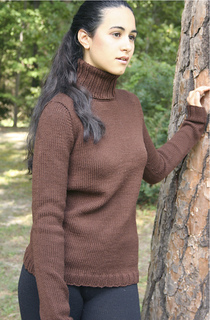 Classic_turtle_neck_small2