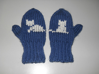 Handschuhefinn_180215_small2