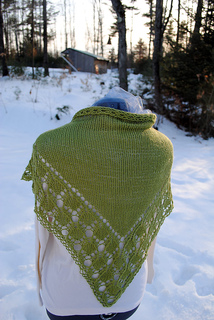 Radhopeshawl2_small2