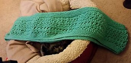 Cowl1a_medium