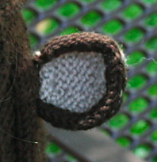 Ear_closeup_small2