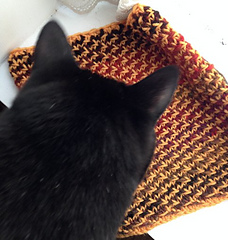 Yellowcowl2_small