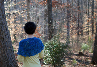 Dsc_0008_small2