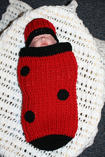 Ladybug_02_small2